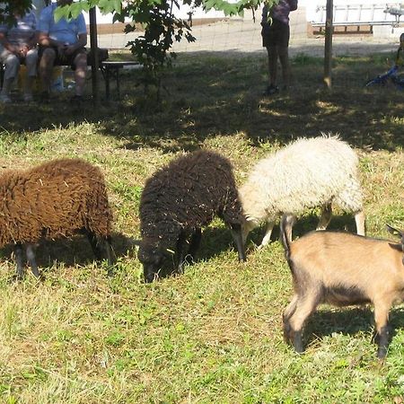 Gasthof Zur Krone Denkendorf  Luaran gambar