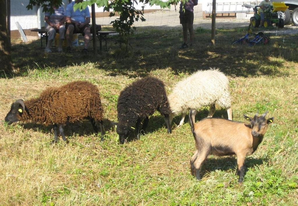 Gasthof Zur Krone Denkendorf  Luaran gambar
